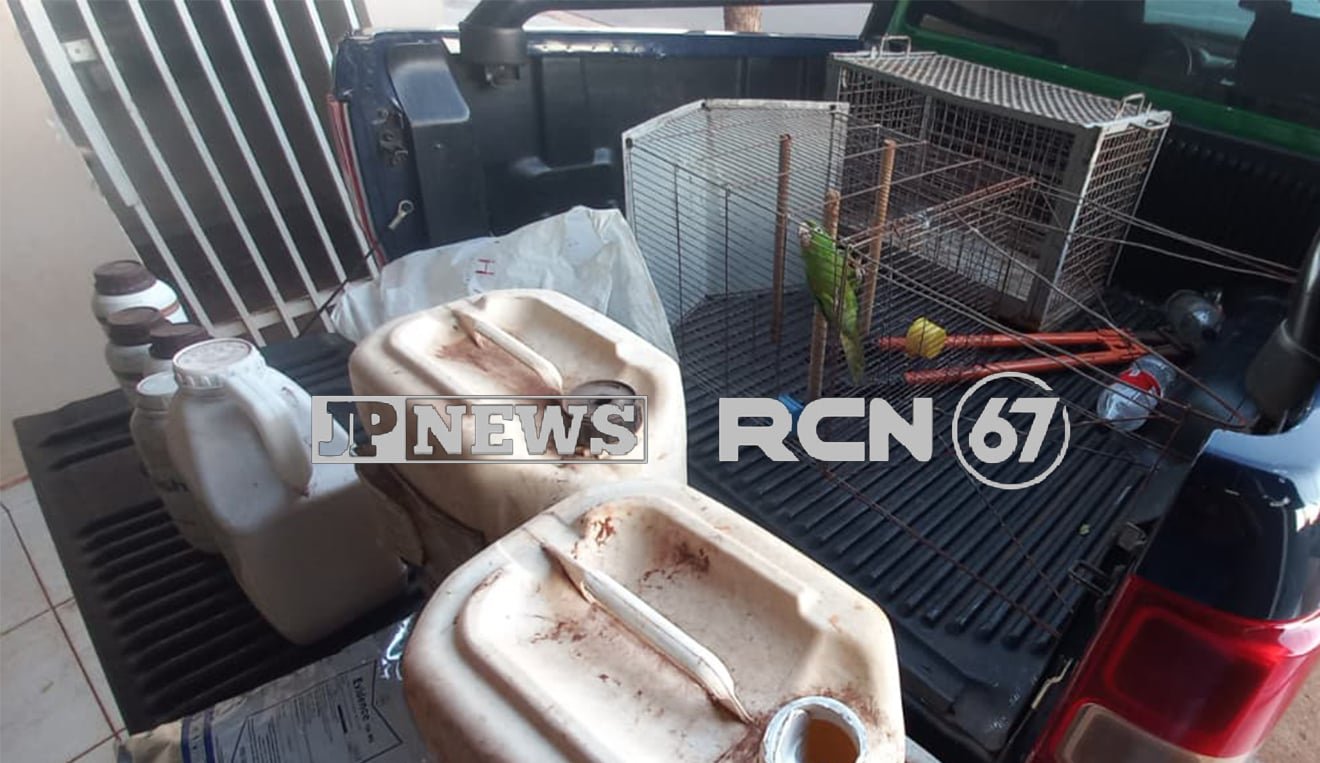 Homem é preso por furto em Três Lagoas; receptadores são detidos e ave silvestre é resgatada