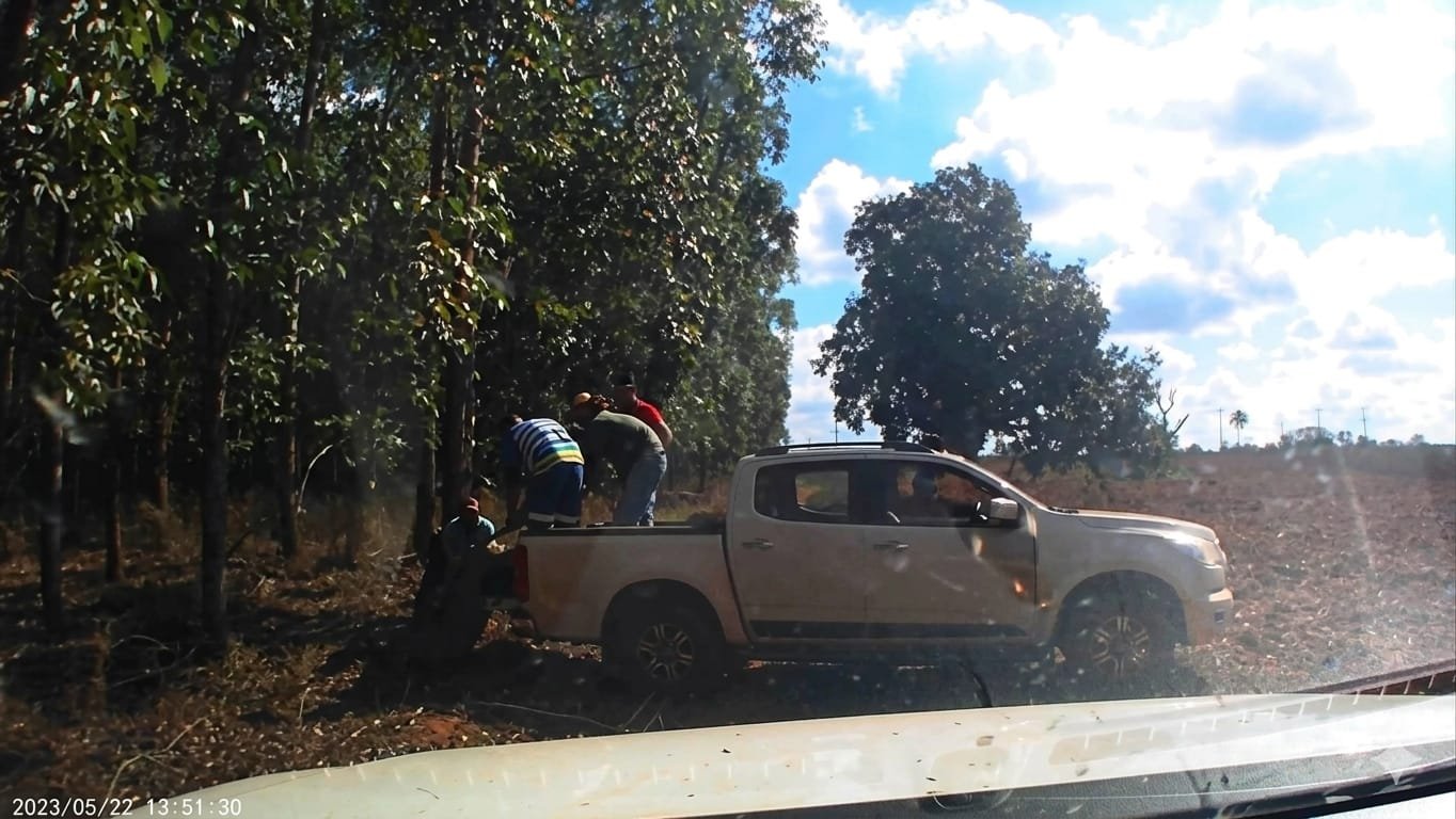 Fazenda em MS é invadida para abater gado acidentado; caso de abigeato é denunciado