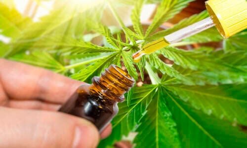 Aumento no uso de cannabis medicinal impulsionado por mulheres em busca de bem-estar em Três Lagoas