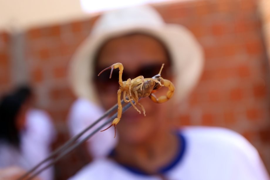 Secretaria de Saúde realiza Blitz Educativa de Prevenção e Controle ao Escorpionismo nesta quinta-feira (26)