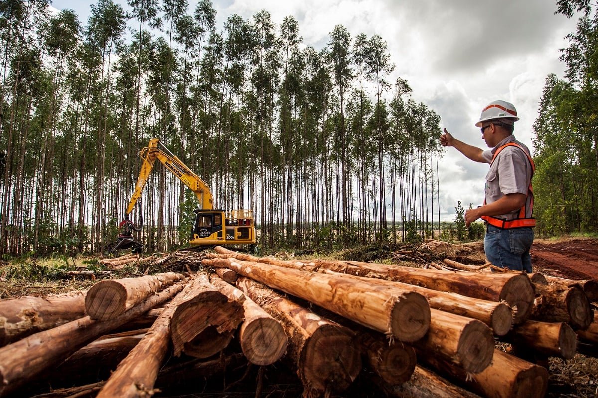 Suzano abre vagas de emprego em Três Lagoas e Ribas do Rio Pardo