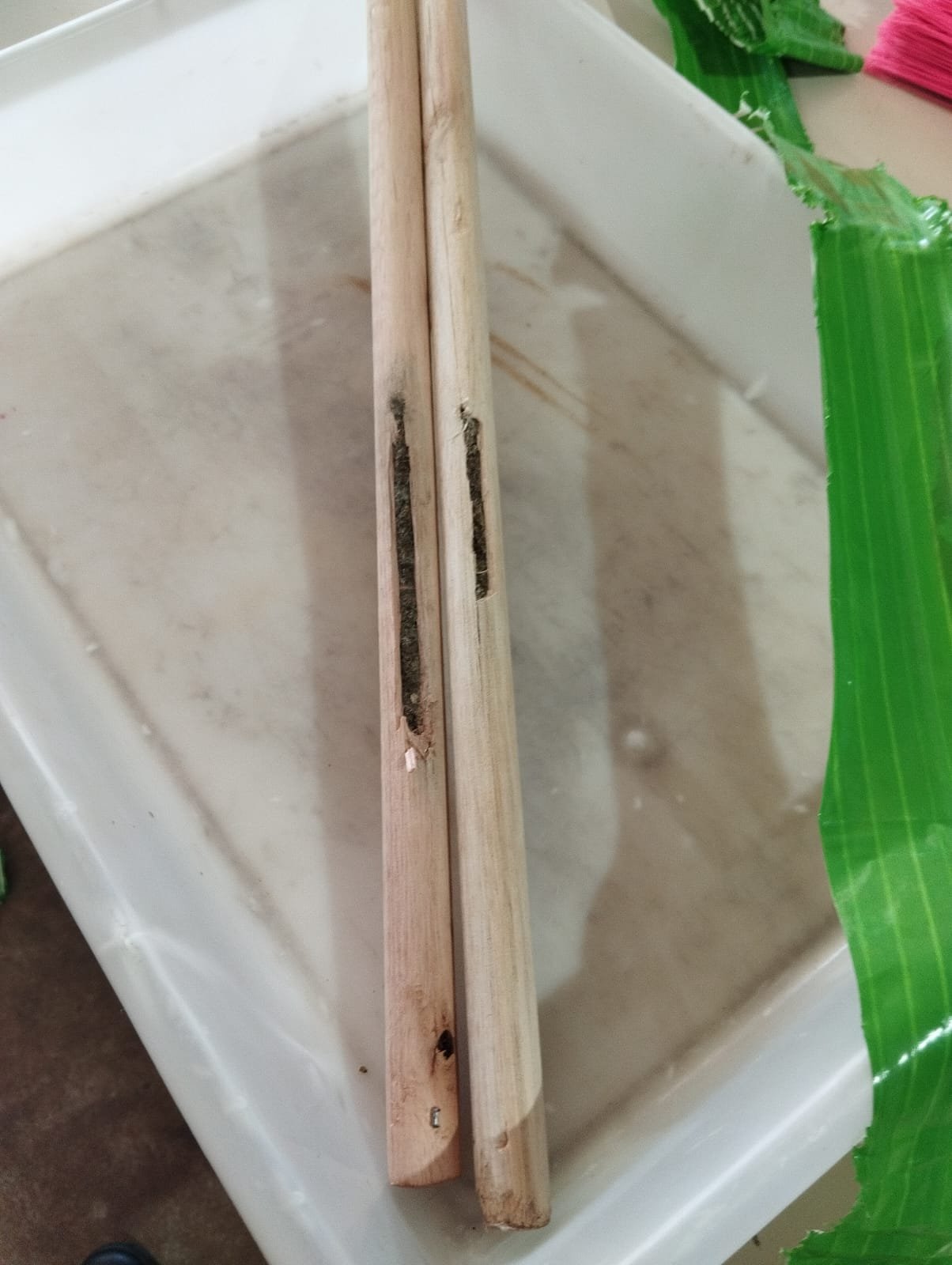 Polícia Penal flagra mulher tentando entrar em presídio com maconha escondida em vassoura em Três Lagoas