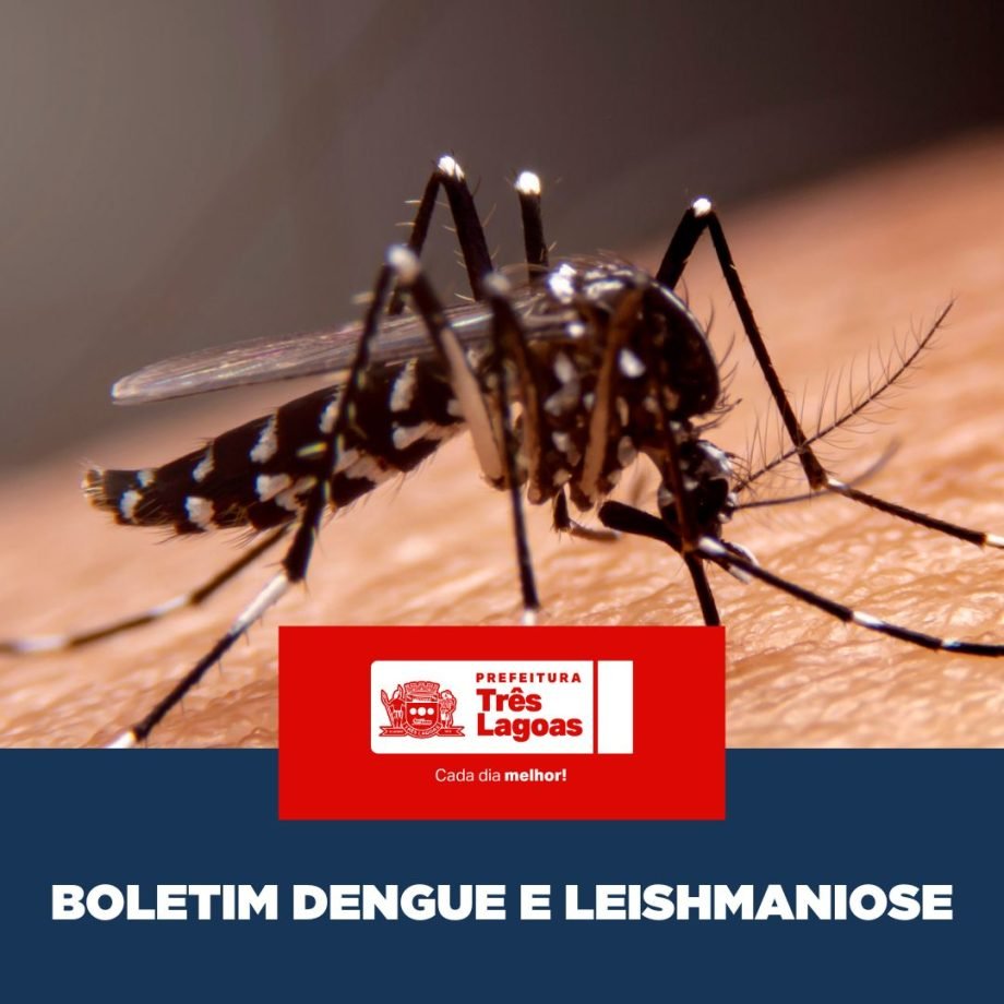 BOLETIM DENGUE E LEISHMANIOSE – 18 de março de 2026